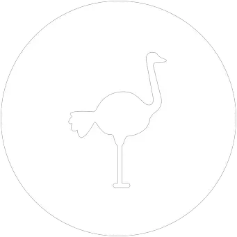 Ostrich